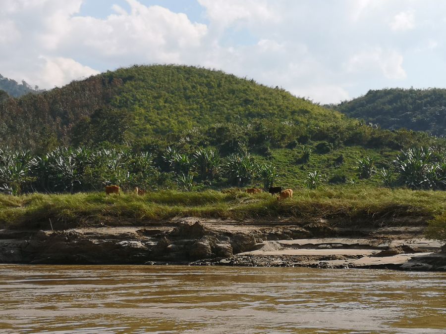 Prestop v Laos in popotovanje po reki Mekong