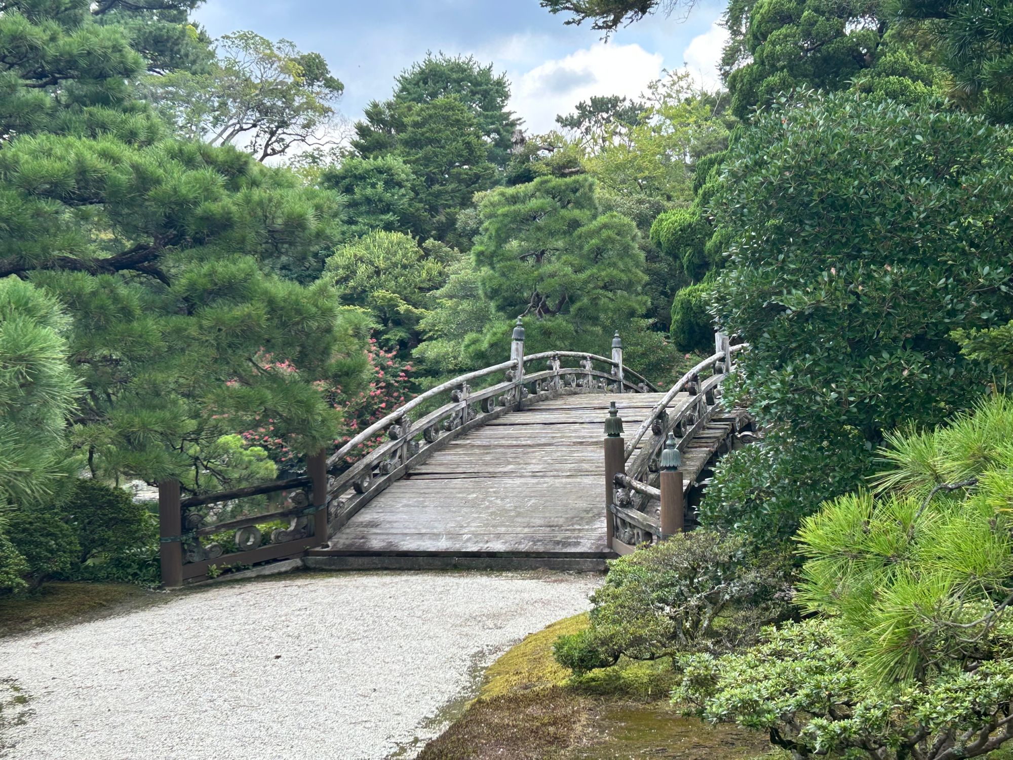 3.teden - obisk jelenov v Nari in Kyoto s prijatelji