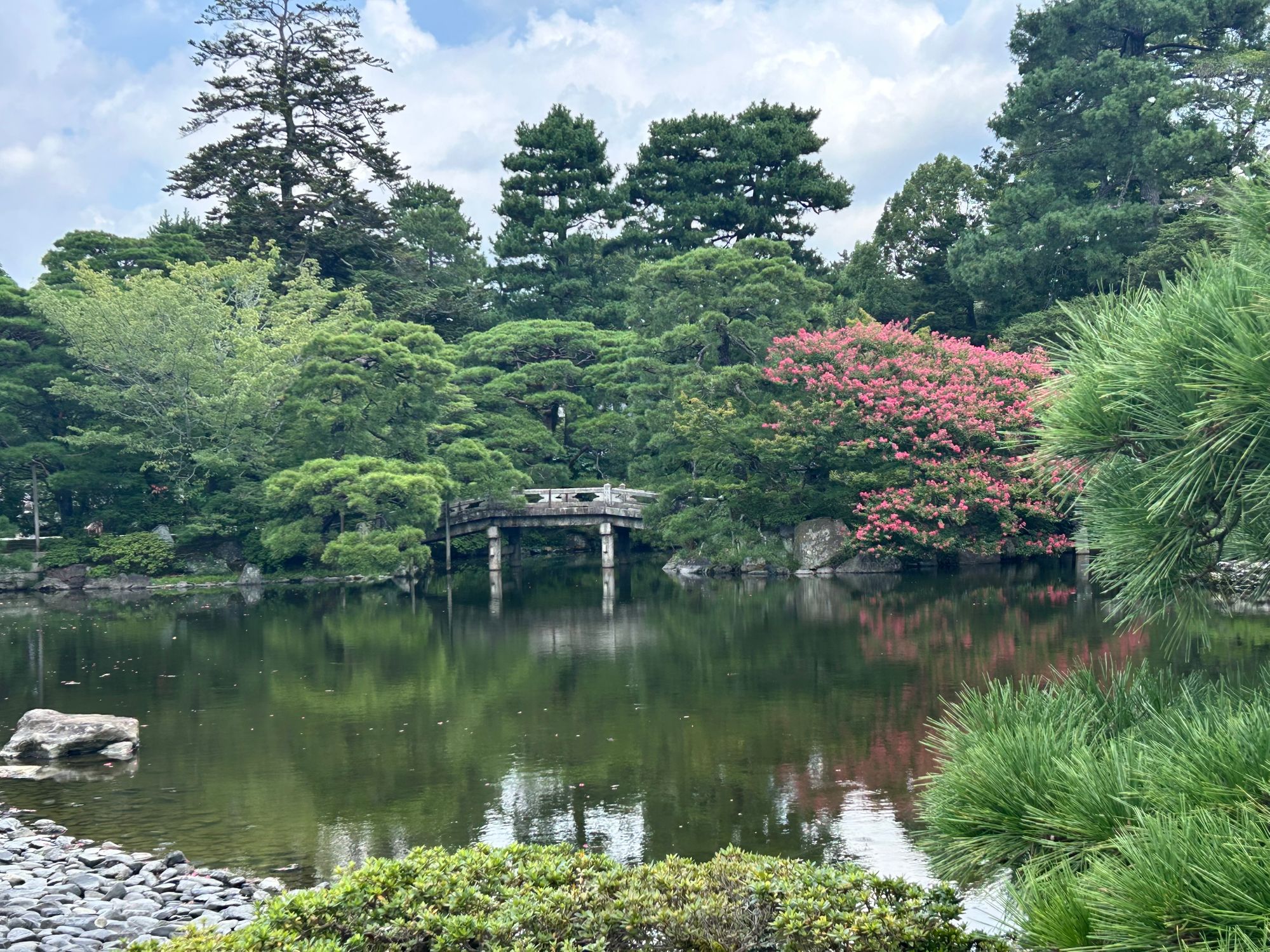 3.teden - obisk jelenov v Nari in Kyoto s prijatelji