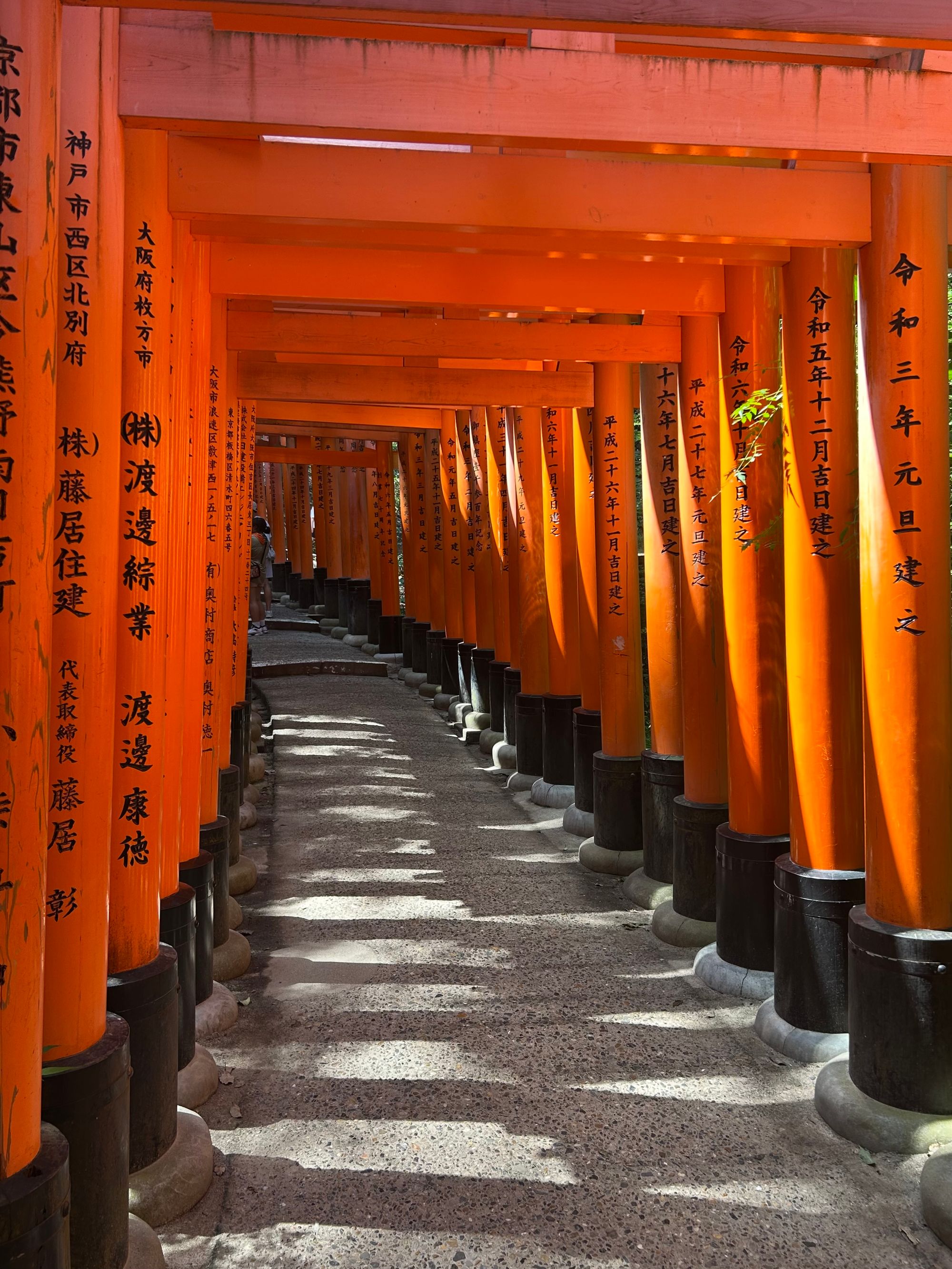 3.teden - obisk jelenov v Nari in Kyoto s prijatelji