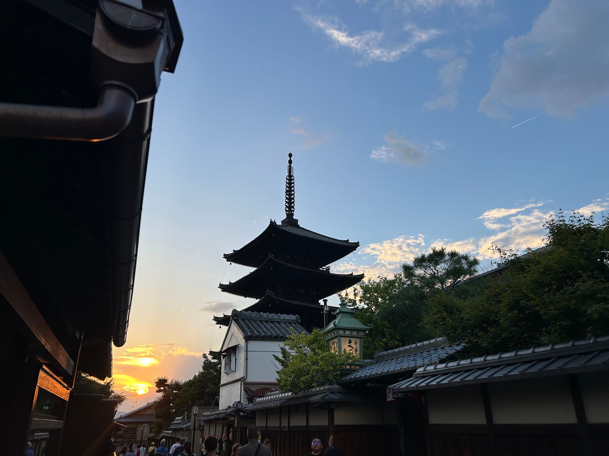 3.teden - obisk jelenov v Nari in Kyoto s prijatelji